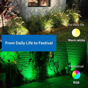 description_selected4