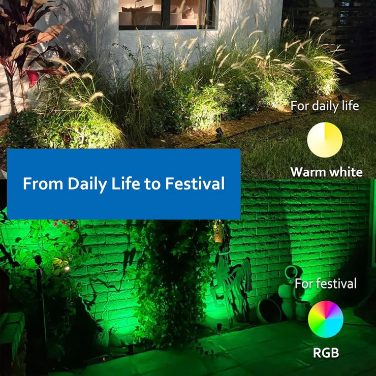 description_selected4